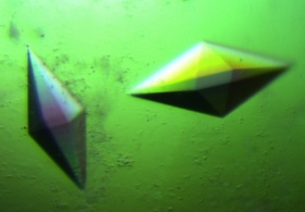 A microscopic image of the crystals