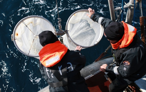 Scientists pulling in the nets that collect microplastics and plankton. Image: Anna Deniaud - Tara Expeditions Foundation
