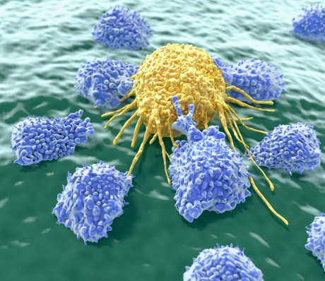 A computer generated 3D image of immune cells attacking and breaking down a cancer cell