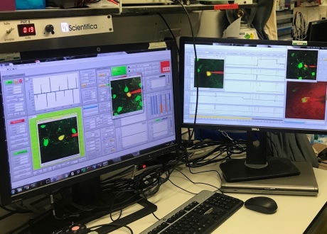 The computer programme used to guide the micropipette