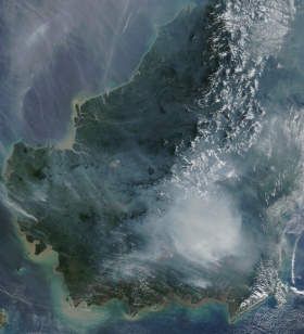 Borneo's deforestation is visible from space