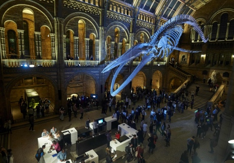 Natural History Museum