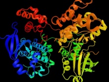Enzyme clue to cancer treatment