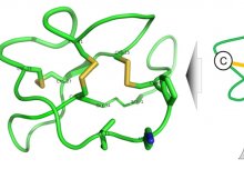 Article makes top ten most cited list in OBC since publication began