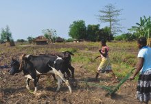 Women in African agriculture: Farmers, Mothers, Innovators and Educators