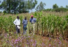 Great Strides and Great Plans? Justine Greening Sets Out DFID's Priorities