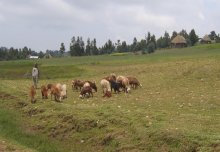 Women in African agriculture: farmers, mothers, innovators and educators