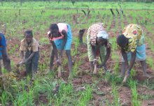 Can we feed the world? A conversation with Sir Gordon Conway