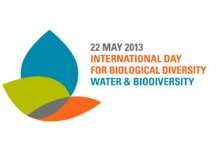 International Day for Biological Diversity: projects at Imperial