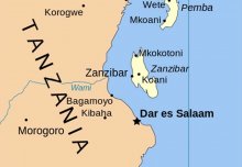 Elimination of Schistosomiasis Transmission in Zanzibar