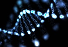 Non-coding DNA implicated in type 2 diabetes