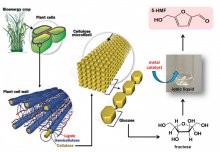 Chemical building blocks from renewable resources