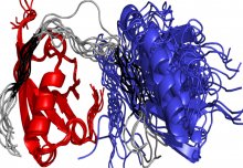 NMR provides fresh atomic insights into a key protein that helps repair DNA