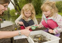 Visit the planet's wildlife on your doorstep at Imperial's Silwood Park campus