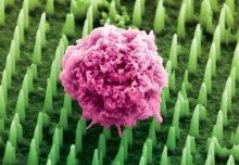Prototype &apos;nanoneedles' generate new blood vessels in mice