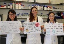 Celebrating women in chemical engineering