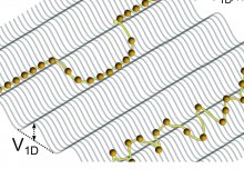 Research Highlight: Collective transport in the discrete Frenkel-Kontorova model