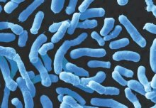 Public Health England's report shows a rise in antibiotic resistant infections