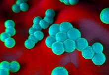 Superbug infections tracked across Europe