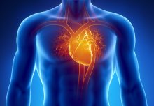 Heart disease and stroke risk predicted by new tools 