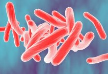 Genomics to be used in tuberculosis control