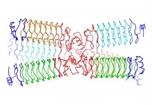 A new way to create synthetic proteins could lead to more flexible designs