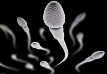 Spinning semen provides a measurement of fertility