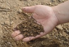 From insulin to washing powder: why understanding soil bacteria matters