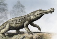 Imperial alumnus discusses rise and fall of ancient dinosaur-eating crocodiles