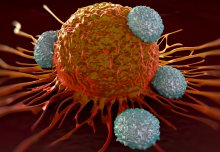 A lead candidate for immunotherapy may increase tumour growth in certain cancers