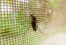 IGHI Podcast: Tackling malaria in 2017