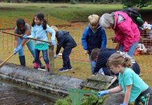 Biggest ever 'Bugs! Day' held at Silwood Park campus