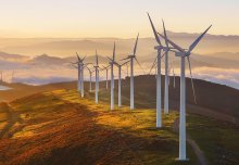 The UK should harness the power of green finance says Business School report