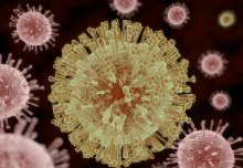 Human antibodies from Dengue patients effectively treat Zika infection in mice