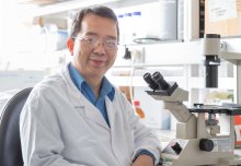 From Hong Kong high-rise to world-leading renal researcher