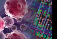 Electrical Engineers advancing cancer diagnostics