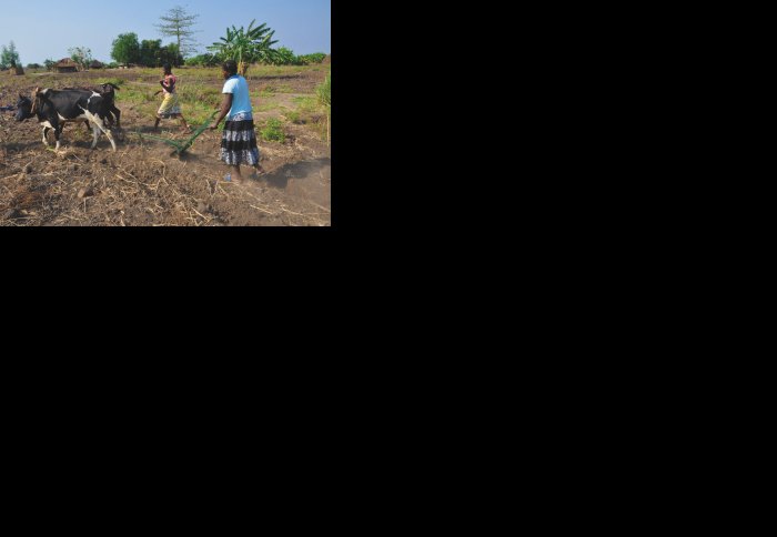 Women farmers