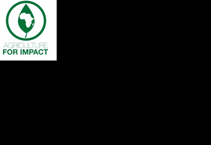 Agriculture for Impact logo