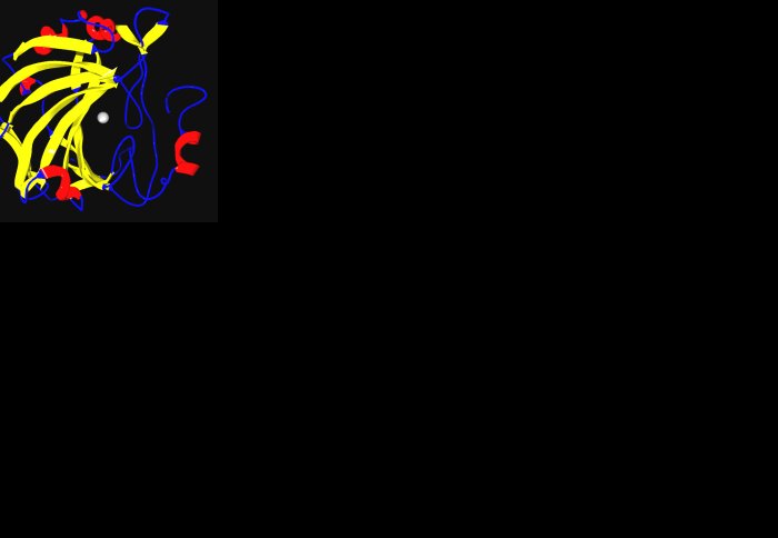 Ribbon diagram of carbonic anhydrase generated from PDB 1MOO, image courtesy of Wikimedia Commons