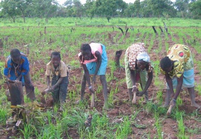 farming