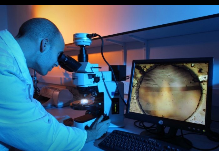 Scientist examining microscope