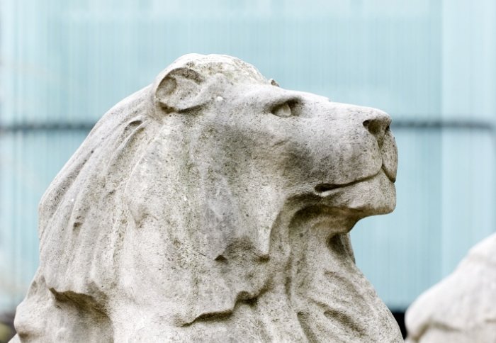 Imperial concrete lions