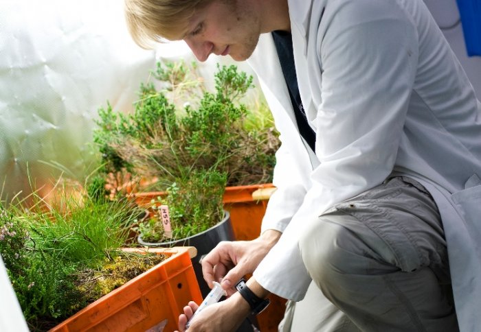 Ecology placement student