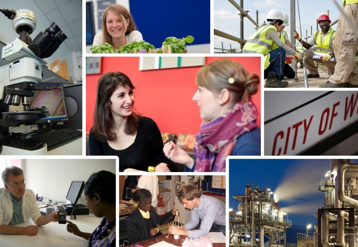 (Clockwise:) Microscope, scientist, engineers on construction site, City of Westminster sign, refinery, teacher and student, doctor and patient, two students in conversation.