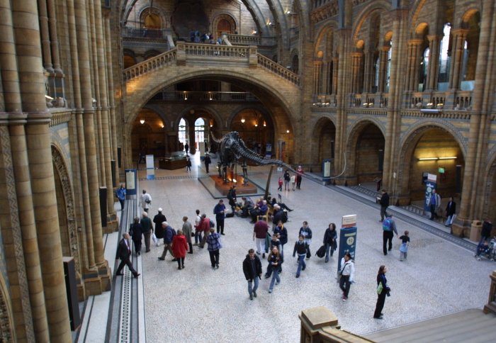 The Natural History Museum, London