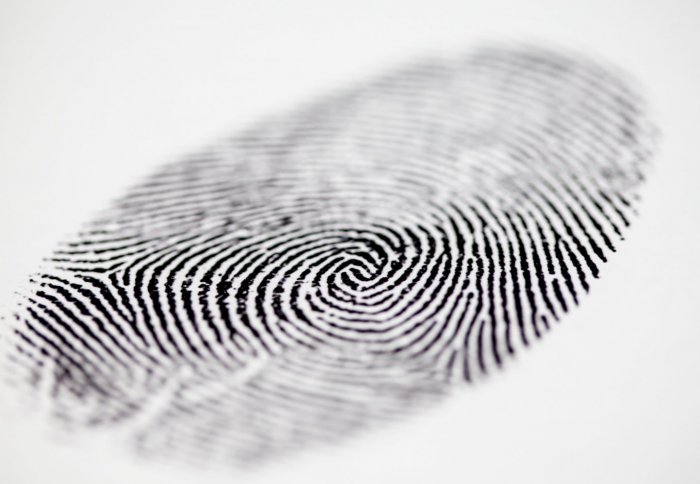 Fingerprint