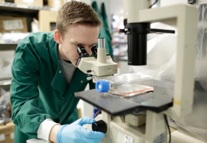 A PhD student looking through a microscope