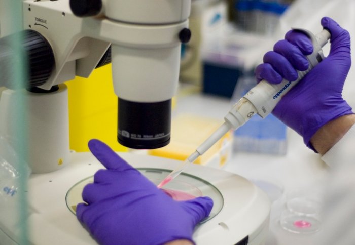 Laboratory at the National Heart and Lung Institute at St Mary's Hospital