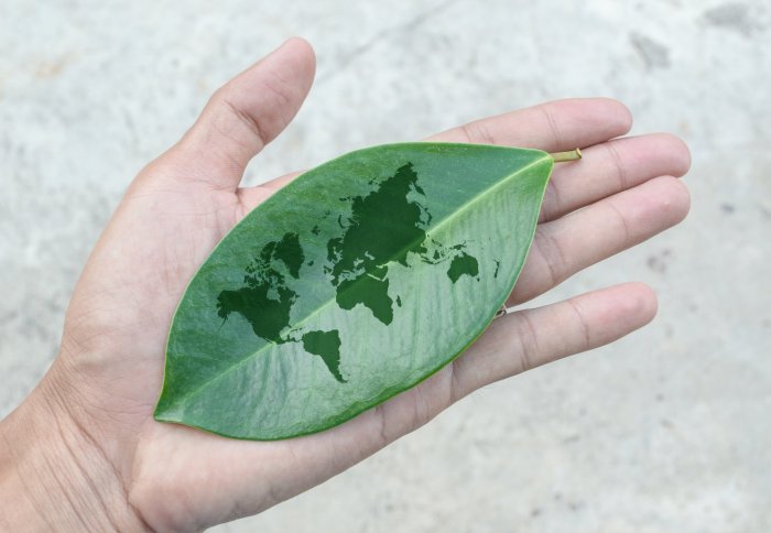 World map on a leaf