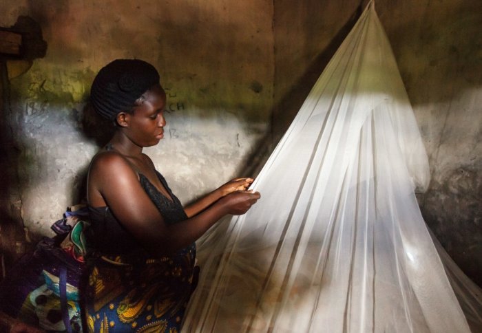 A villager installing a malaria net in her home in Zambia (USAID)